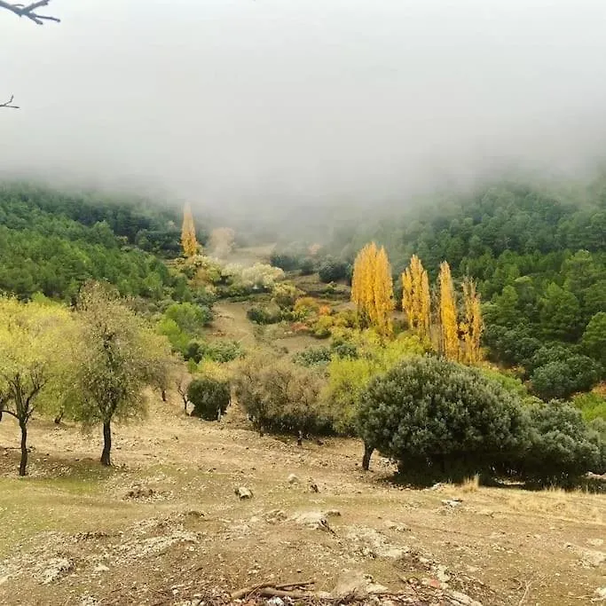Preciosa Casita Rural En La Sierra De Segur A, Cazorla Y Las Villas Pontones  Holiday home Pontones (Andalucia)