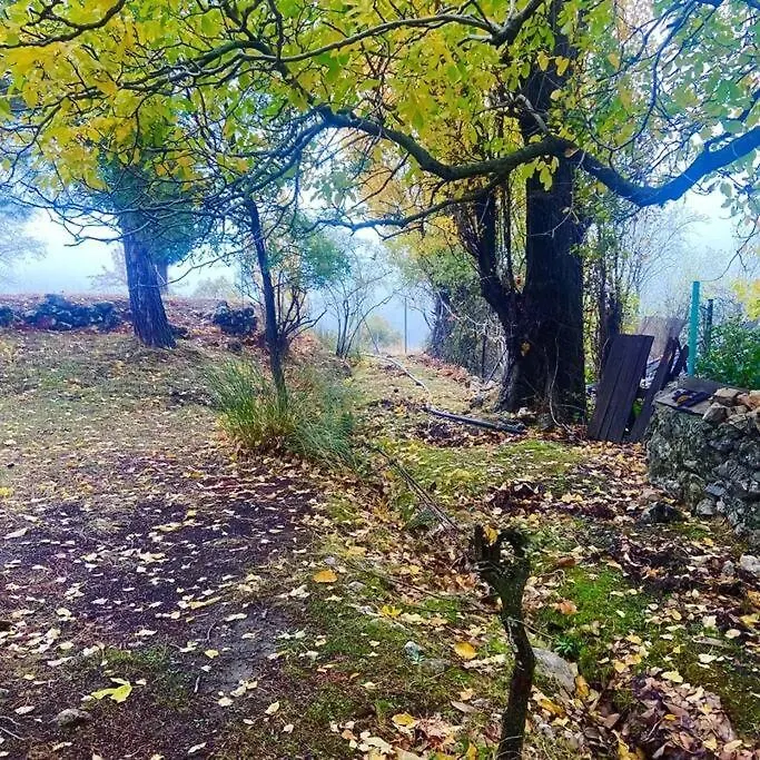 בית נופש פונטונס Preciosa Casita Rural En La Sierra De Segur A, Cazorla Y Las Villas ספרד